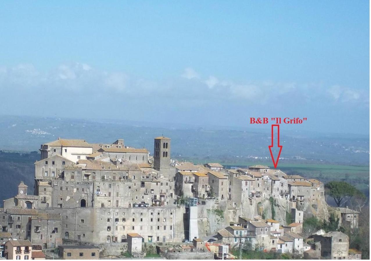 B&B Il Grifo 보마르조 외부 사진