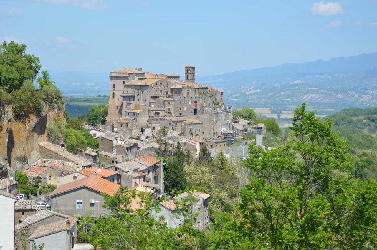 B&B Il Grifo 보마르조 외부 사진